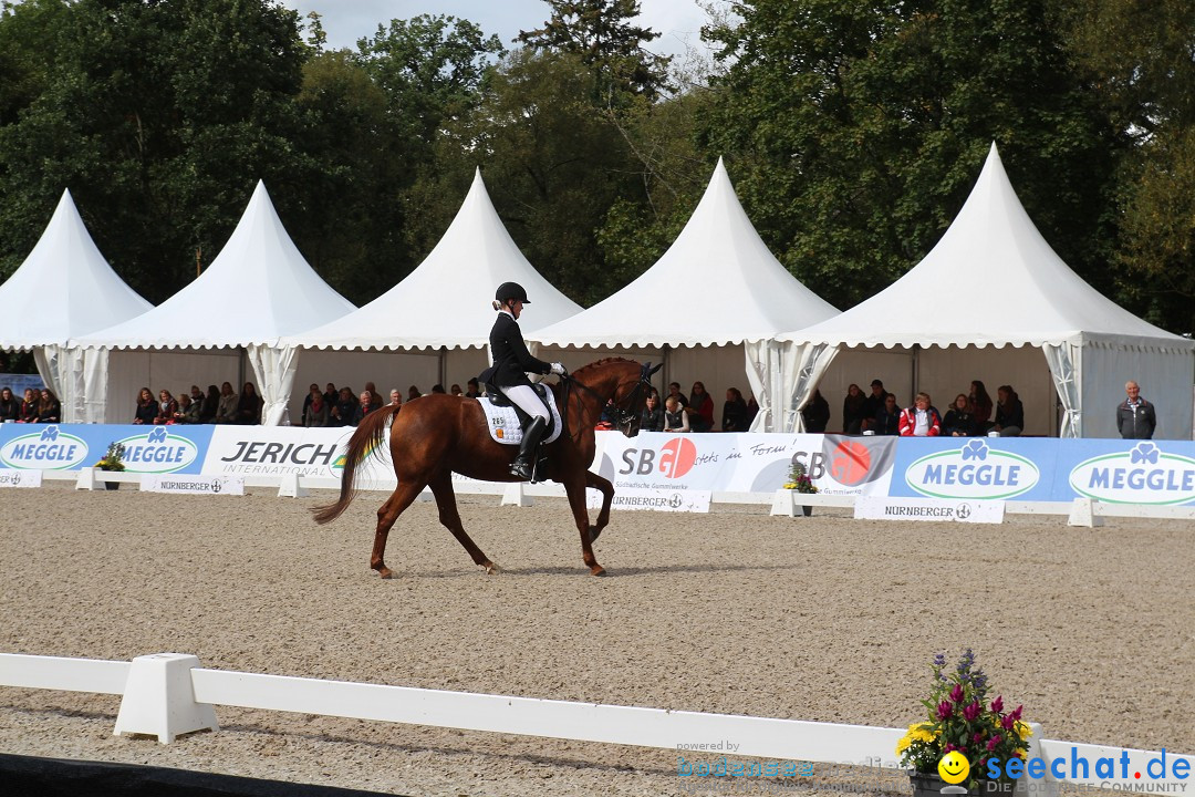 CHI Donaueschingen 2015 Reitturnier: Donaueschingen, 19.09.2015