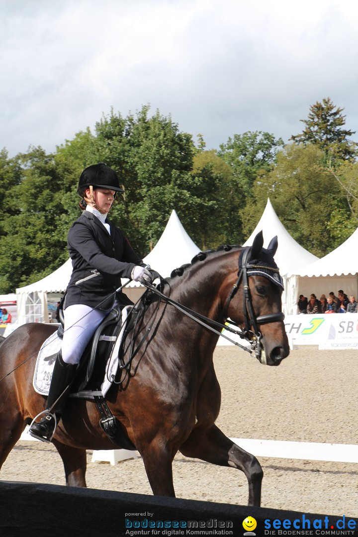 CHI Donaueschingen 2015 Reitturnier: Donaueschingen, 19.09.2015