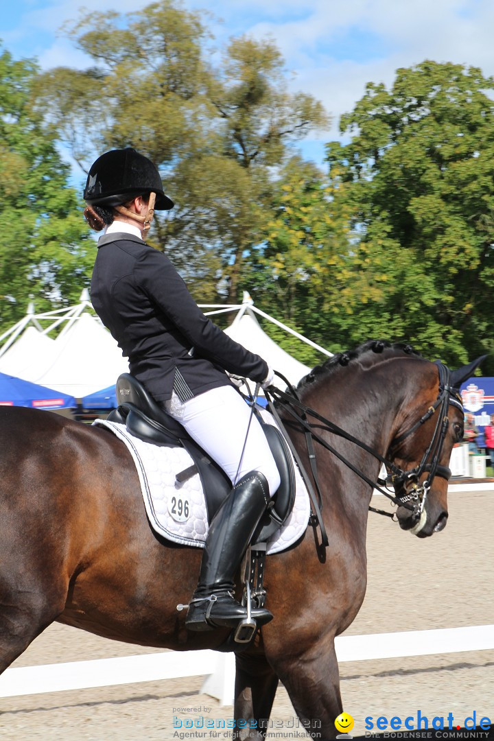 CHI Donaueschingen 2015 Reitturnier: Donaueschingen, 19.09.2015