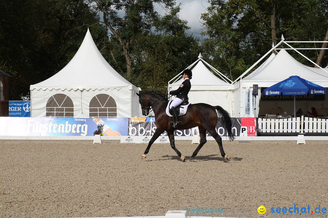 CHI Donaueschingen 2015 Reitturnier: Donaueschingen, 19.09.2015