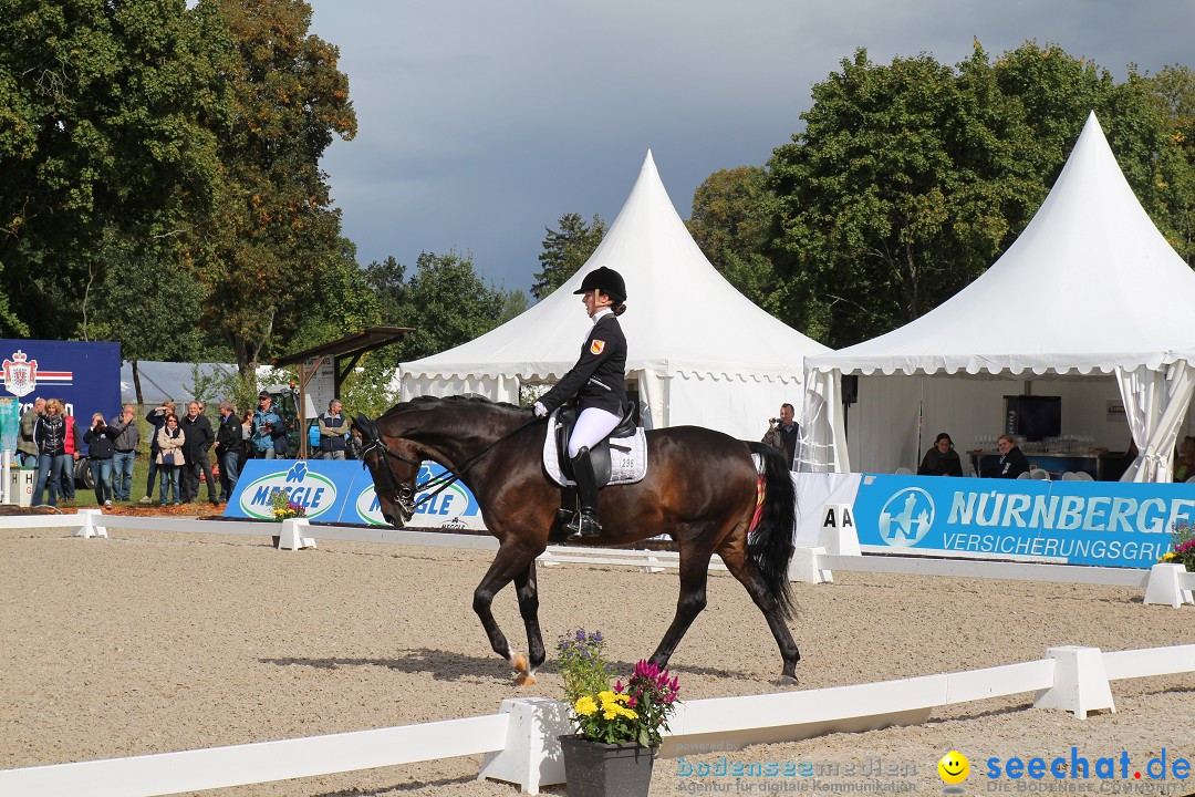 CHI Donaueschingen 2015 Reitturnier: Donaueschingen, 19.09.2015