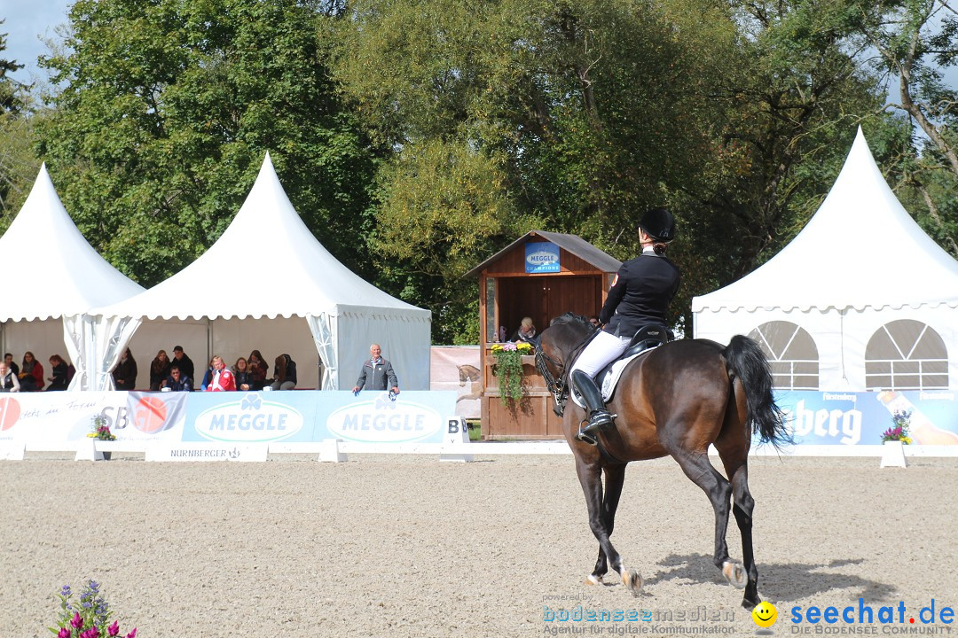 CHI Donaueschingen 2015 Reitturnier: Donaueschingen, 19.09.2015