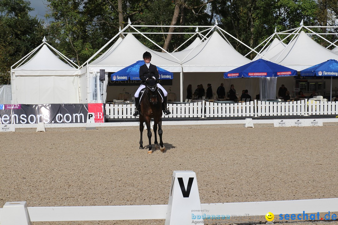 CHI Donaueschingen 2015 Reitturnier: Donaueschingen, 19.09.2015