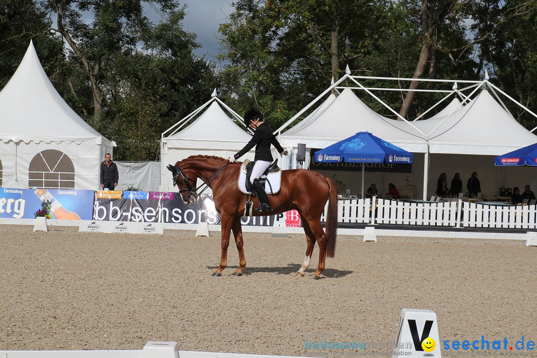 CHI Donaueschingen 2015 Reitturnier: Donaueschingen, 19.09.2015