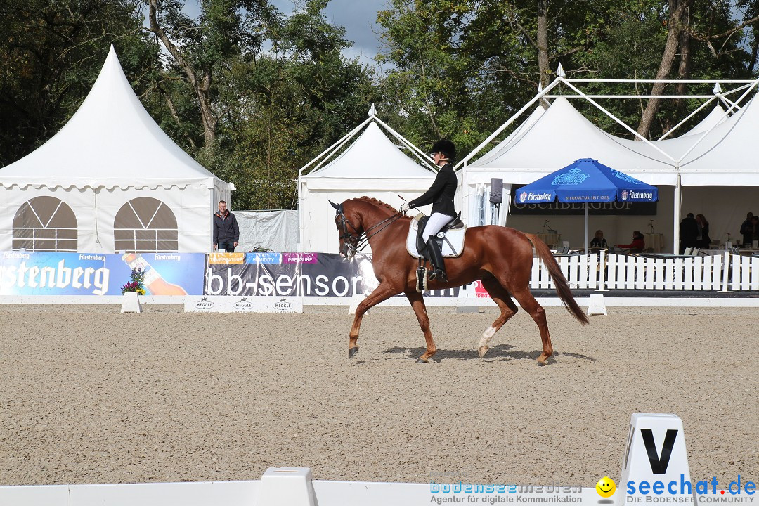 CHI Donaueschingen 2015 Reitturnier: Donaueschingen, 19.09.2015