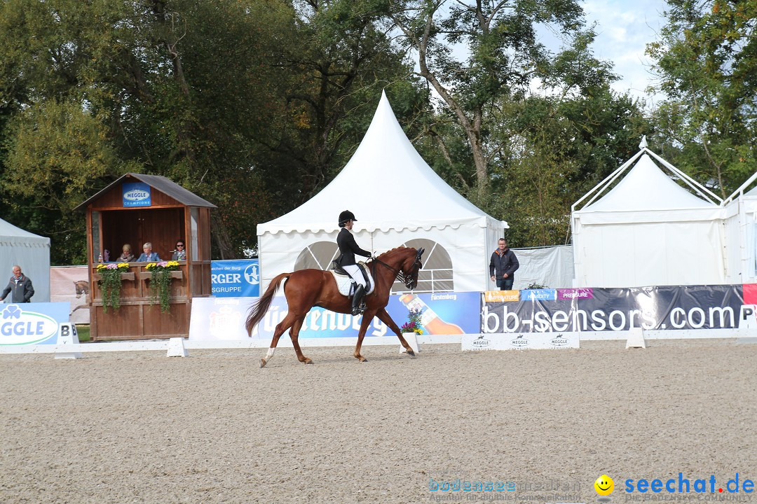 CHI Donaueschingen 2015 Reitturnier: Donaueschingen, 19.09.2015