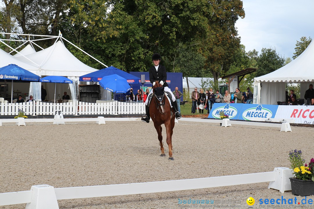 CHI Donaueschingen 2015 Reitturnier: Donaueschingen, 19.09.2015