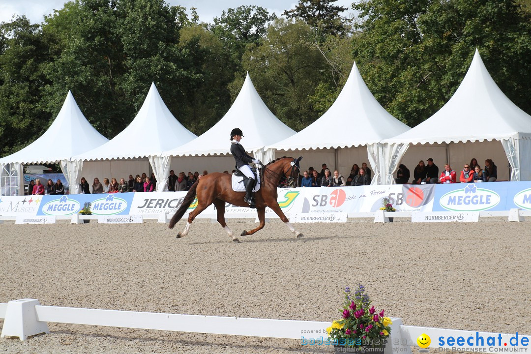 CHI Donaueschingen 2015 Reitturnier: Donaueschingen, 19.09.2015