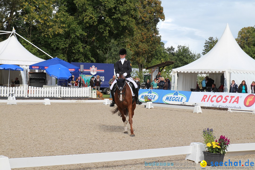 CHI Donaueschingen 2015 Reitturnier: Donaueschingen, 19.09.2015