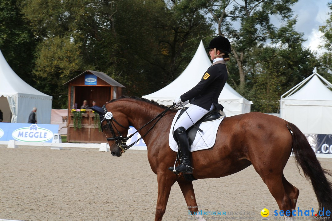 CHI Donaueschingen 2015 Reitturnier: Donaueschingen, 19.09.2015