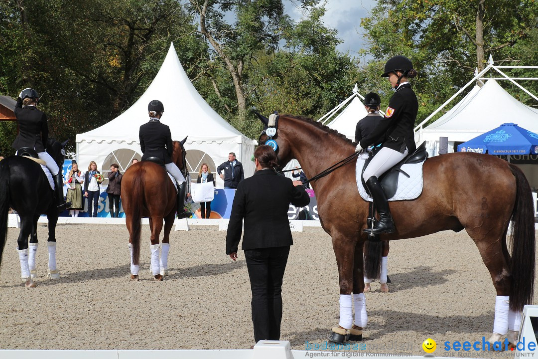 CHI Donaueschingen 2015 Reitturnier: Donaueschingen, 19.09.2015