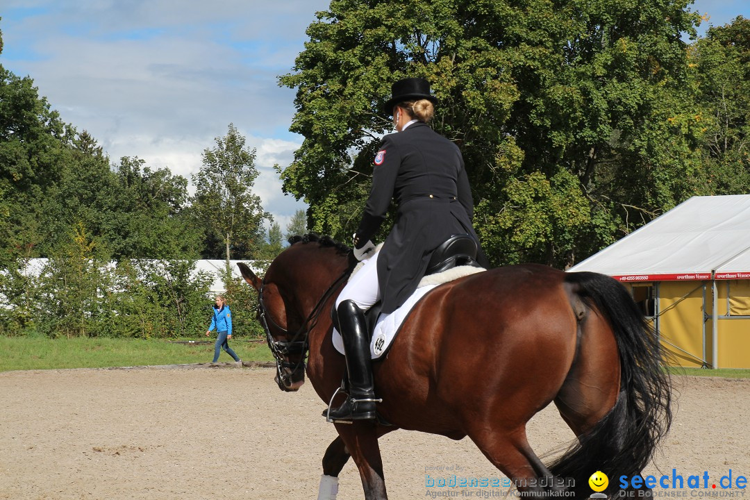 CHI Donaueschingen 2015 Reitturnier: Donaueschingen, 19.09.2015