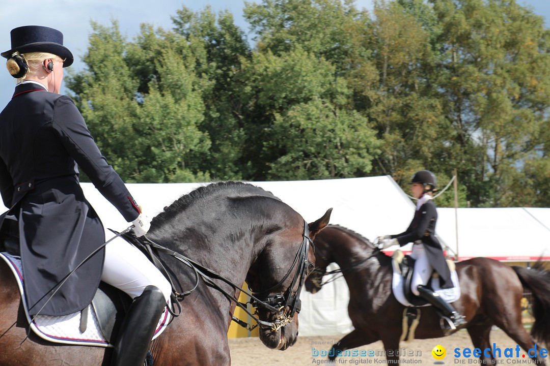 CHI Donaueschingen 2015 Reitturnier: Donaueschingen, 19.09.2015