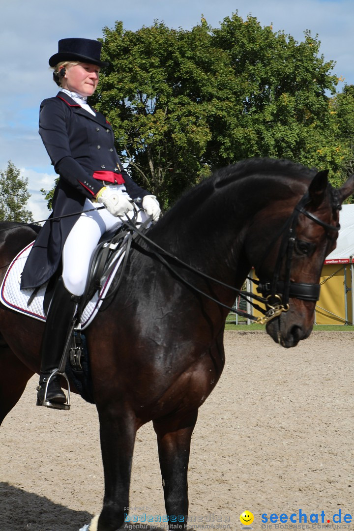 CHI Donaueschingen 2015 Reitturnier: Donaueschingen, 19.09.2015