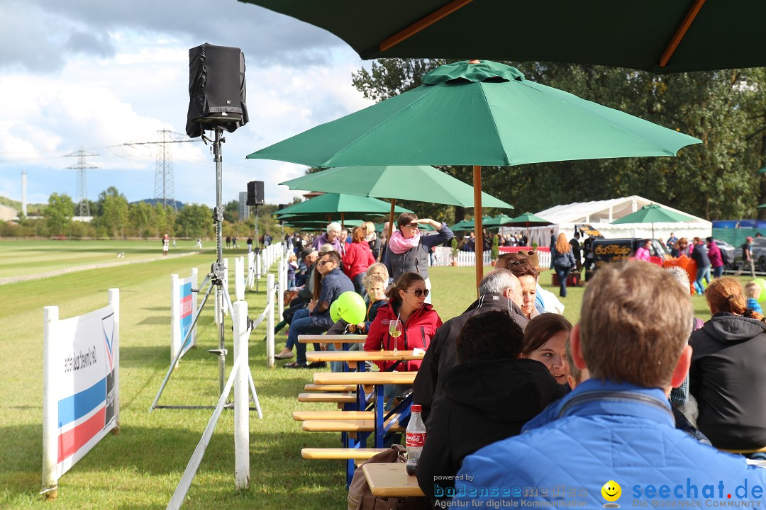 CHI Donaueschingen 2015 Reitturnier: Donaueschingen, 19.09.2015