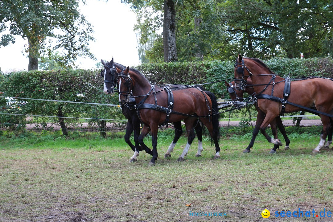 CHI Donaueschingen 2015 Reitturnier: Donaueschingen, 19.09.2015