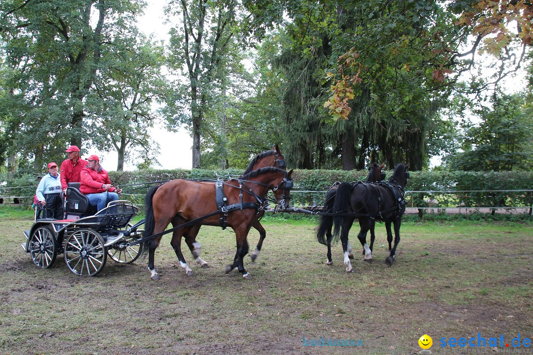 CHI Donaueschingen 2015 Reitturnier: Donaueschingen, 19.09.2015