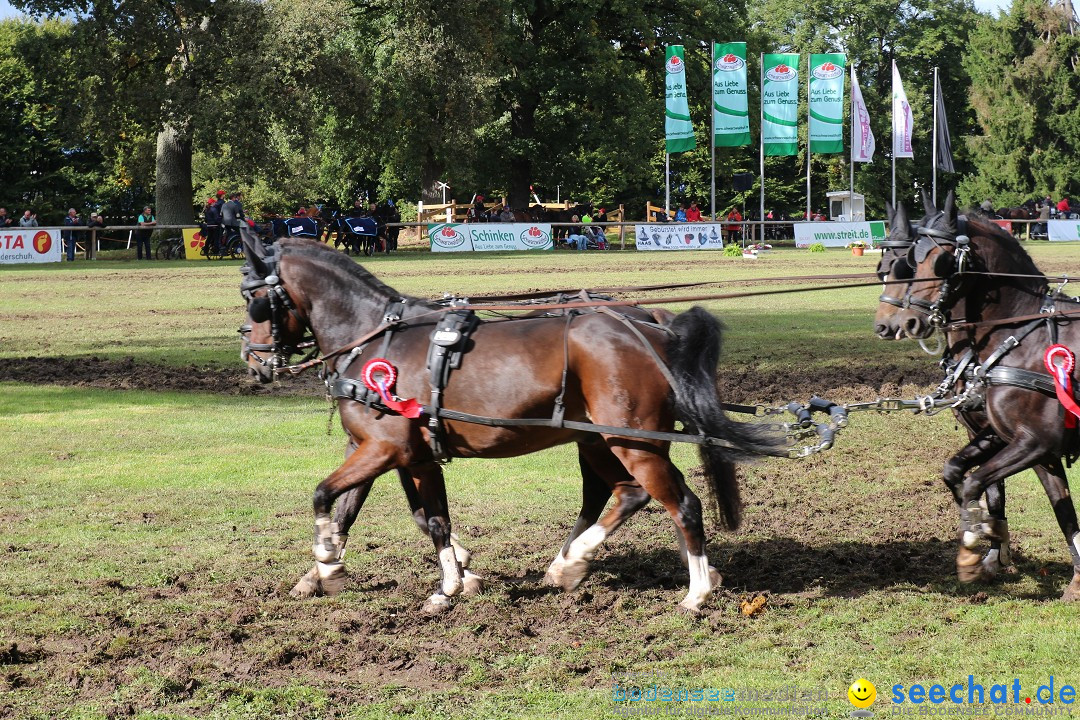 CHI Donaueschingen 2015 Reitturnier: Donaueschingen, 19.09.2015