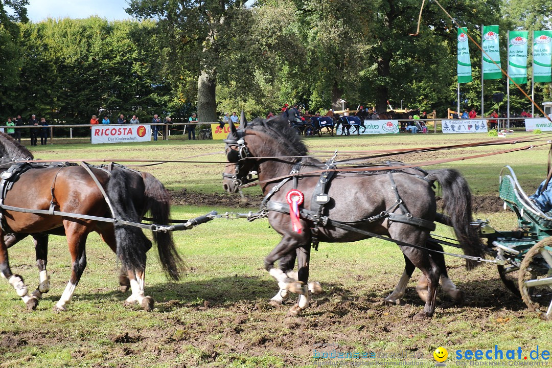 CHI Donaueschingen 2015 Reitturnier: Donaueschingen, 19.09.2015