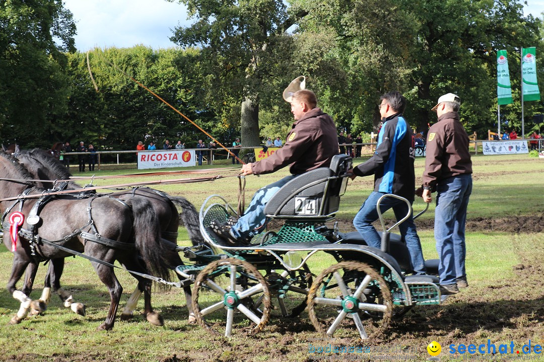 CHI Donaueschingen 2015 Reitturnier: Donaueschingen, 19.09.2015