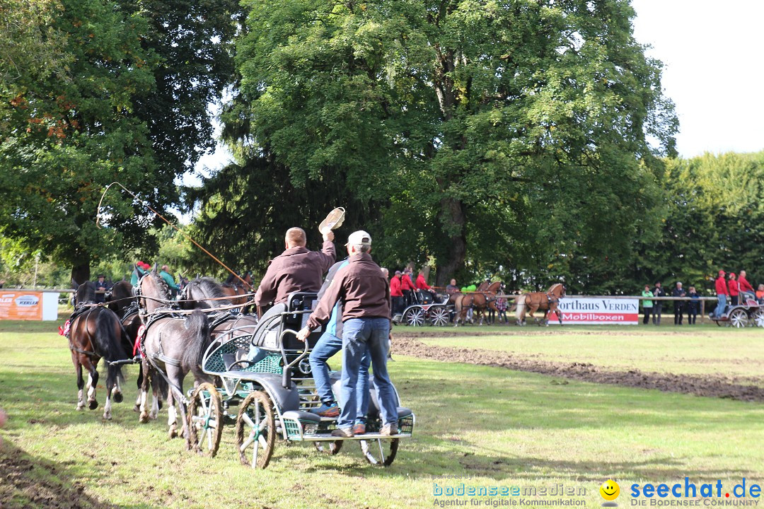 CHI Donaueschingen 2015 Reitturnier: Donaueschingen, 19.09.2015