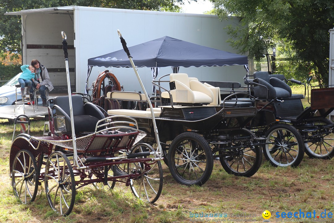 CHI Donaueschingen 2015 Reitturnier: Donaueschingen, 19.09.2015