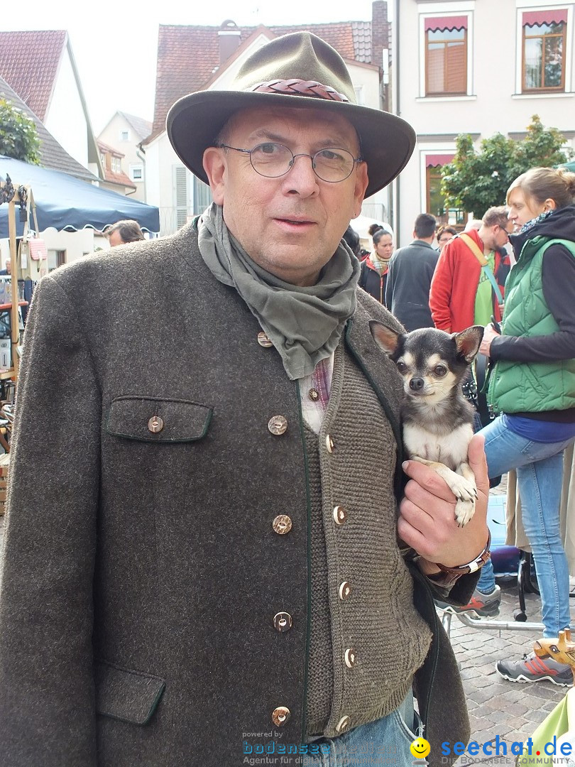 Flohmarkt in Bad-Saulgau am Bodensee, 19.09.2015