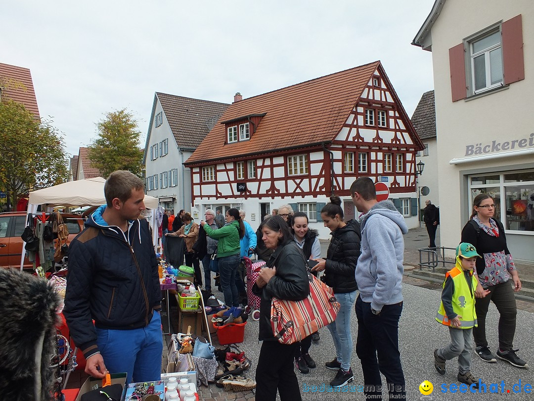 Flohmarkt in Bad-Saulgau am Bodensee, 19.09.2015