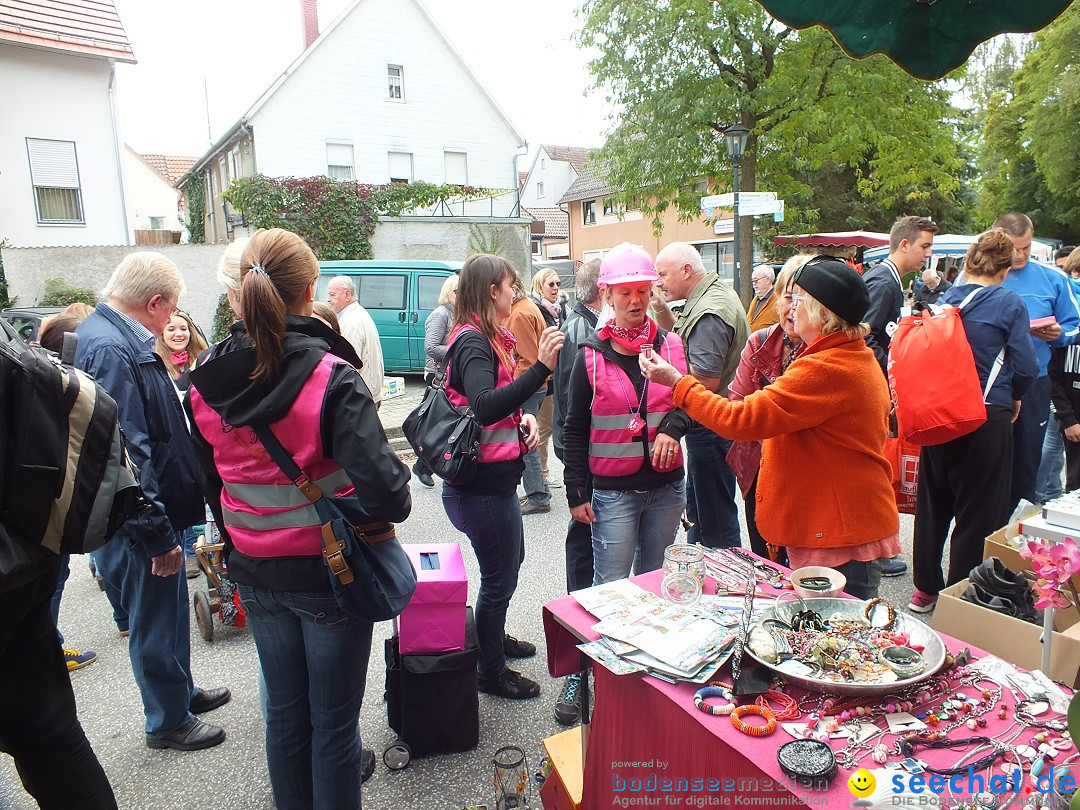 Flohmarkt in Bad-Saulgau am Bodensee, 19.09.2015