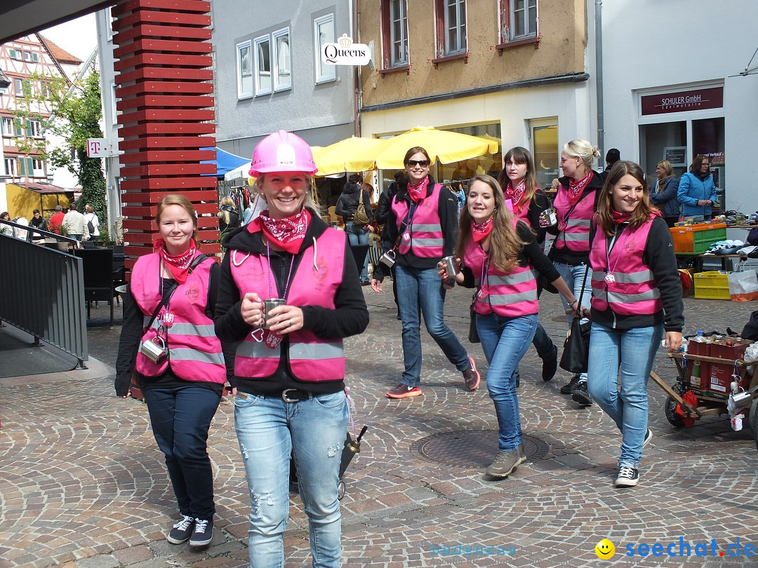 Flohmarkt in Bad-Saulgau am Bodensee, 19.09.2015