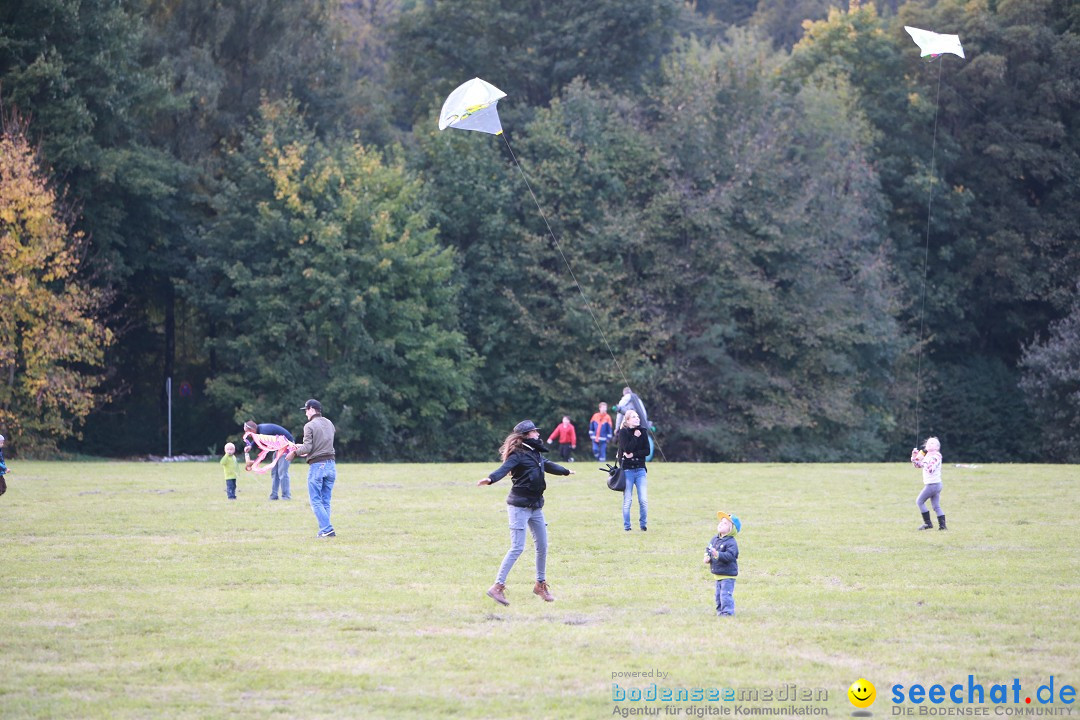 Drachenfest: Weingarten bei Ravensburg am Bodensee, 26.09.2015