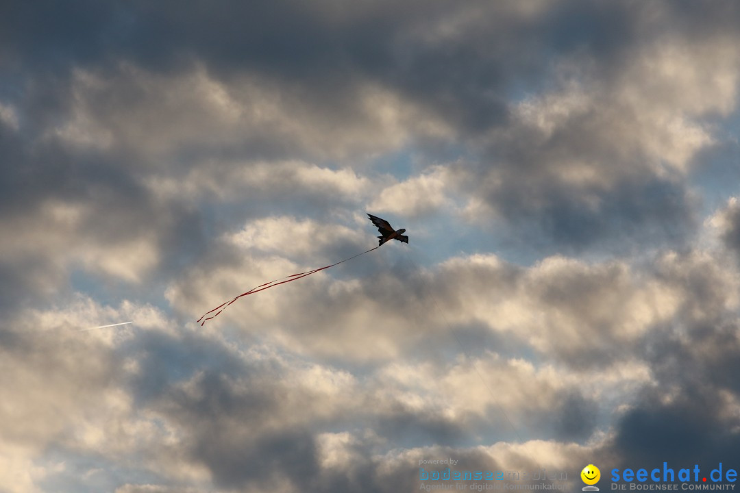 Drachenfest: Weingarten bei Ravensburg am Bodensee, 26.09.2015