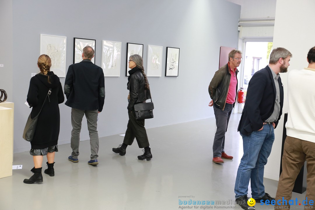 Vernissage mit Ausstellung auf der Kunstnacht: Ravensburg, 25.09.2015