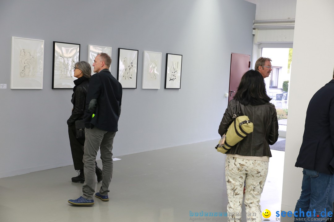 Vernissage mit Ausstellung auf der Kunstnacht: Ravensburg, 25.09.2015