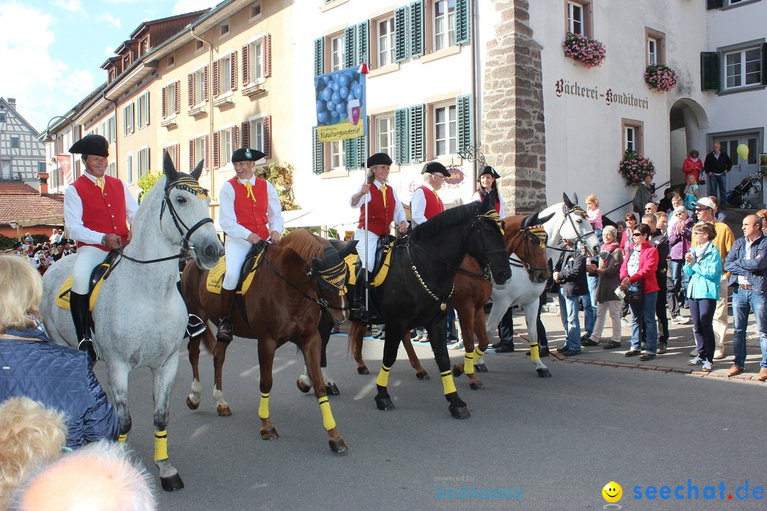 Winzerfest: Hallau - Schweiz, 04.10.2015