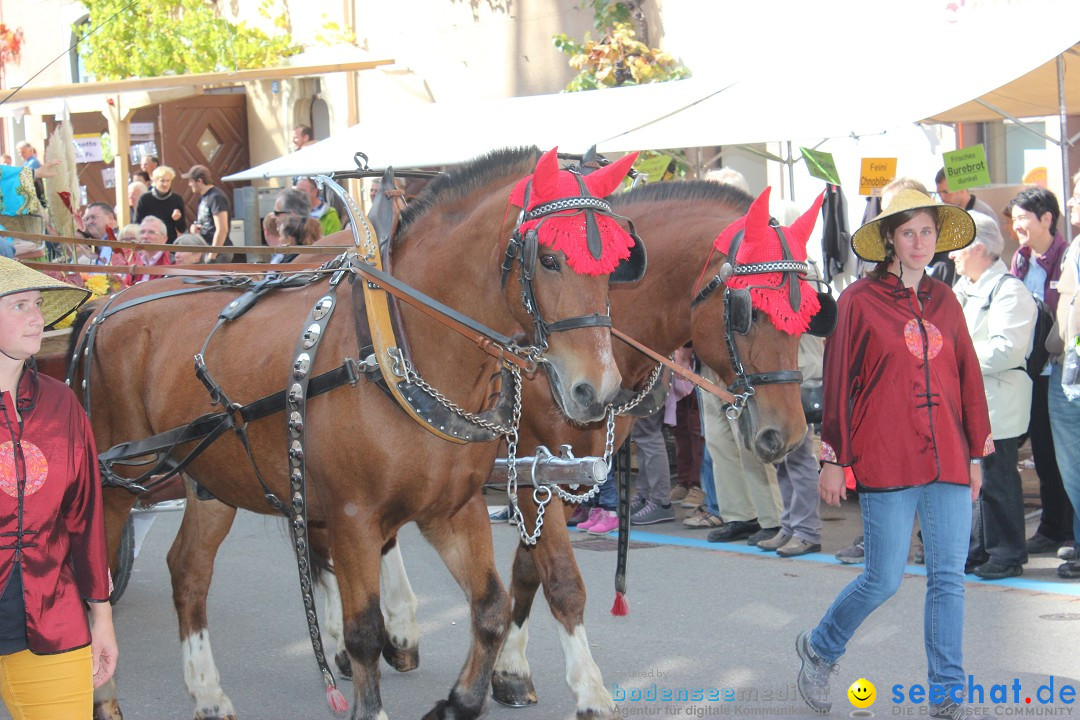 Winzerfest: Hallau - Schweiz, 04.10.2015