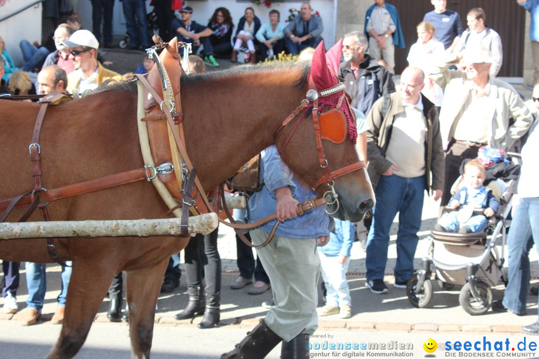 Winzerfest: Hallau - Schweiz, 04.10.2015