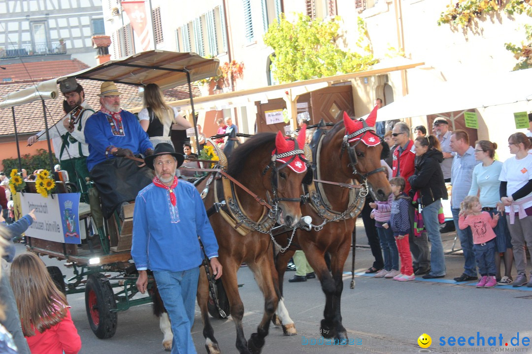 Winzerfest: Hallau - Schweiz, 04.10.2015