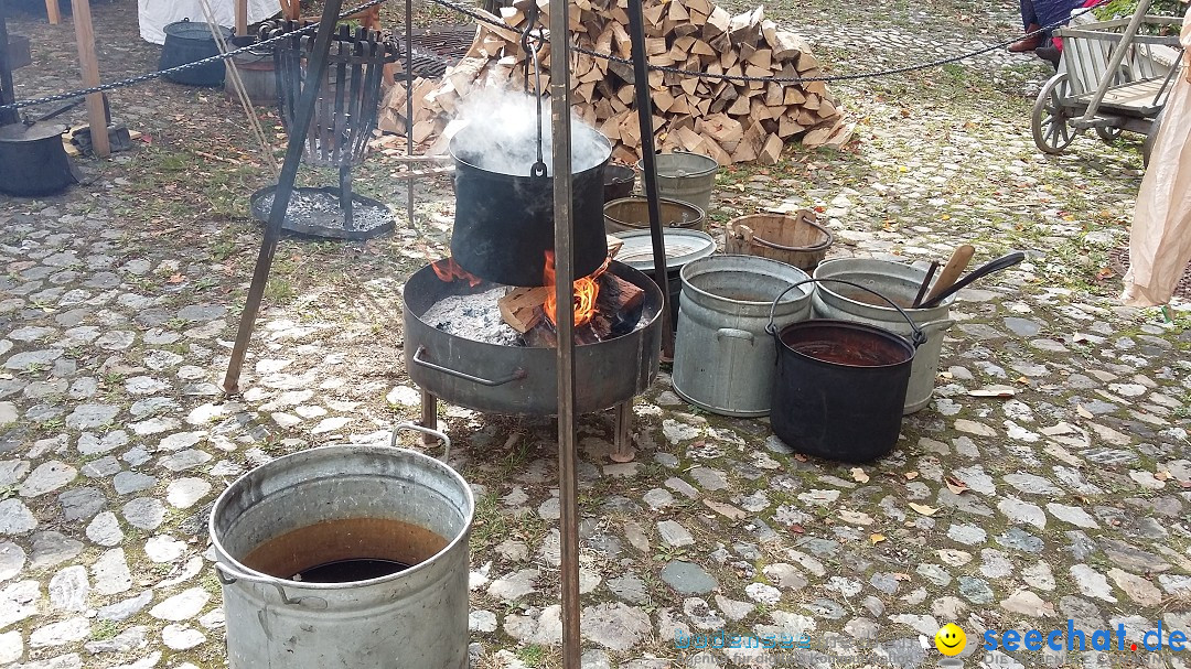 Historischen Markttreiben zu Meersburg: Meersburg am Bodensee, 10.10.2015