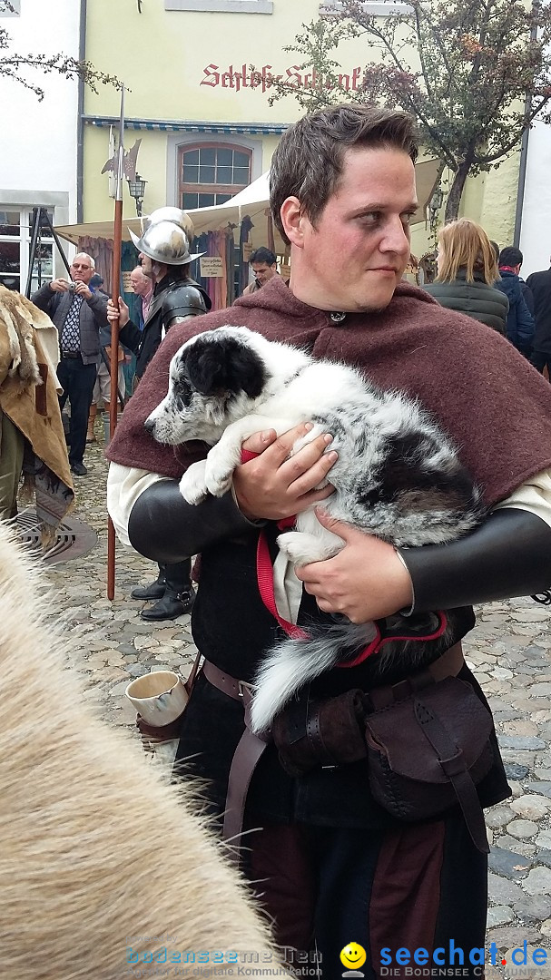 Historischen Markttreiben zu Meersburg: Meersburg am Bodensee, 10.10.2015