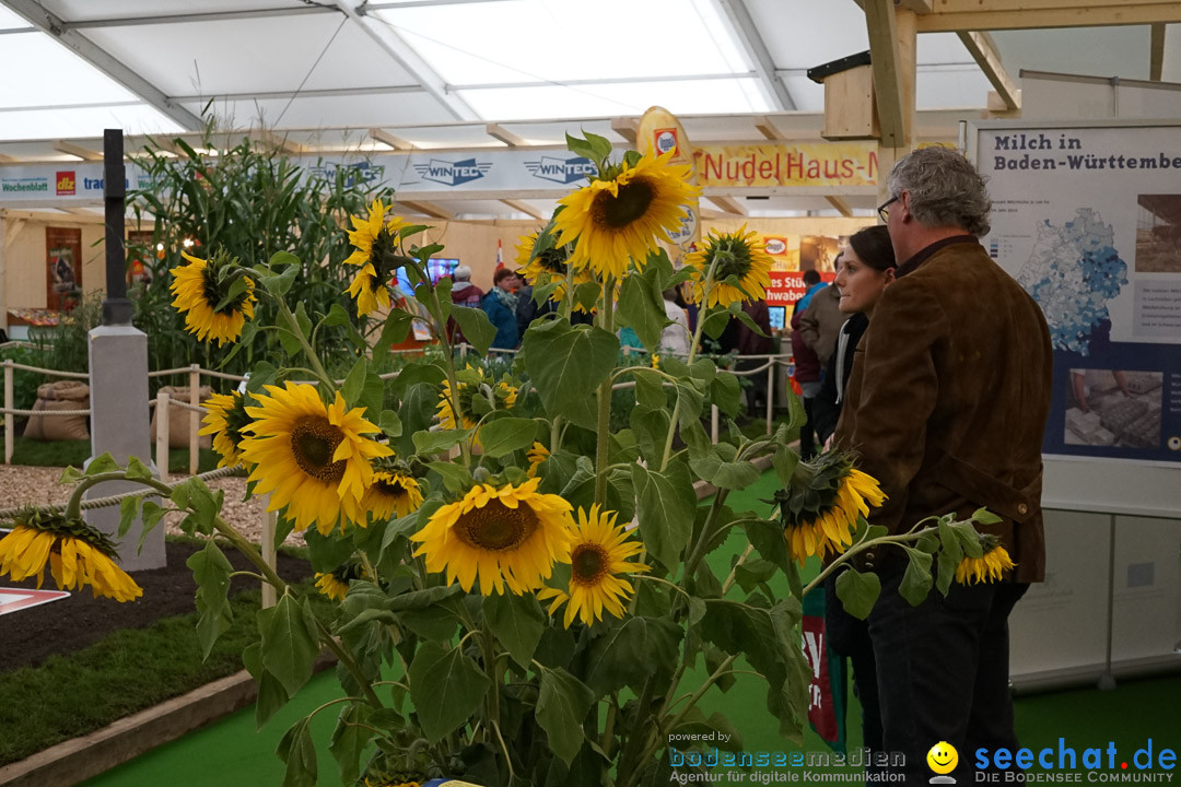 Oberschwabenschau: Ravensburg am Bodensee, 10.10.2015