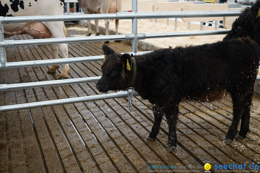 Oberschwabenschau: Ravensburg am Bodensee, 10.10.2015