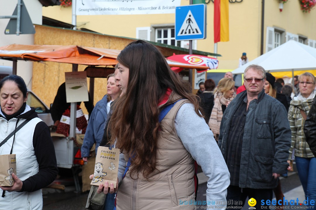 Kirchweih- und Erntedankfest: Hilzingen am Bodensee, 18.10.2015