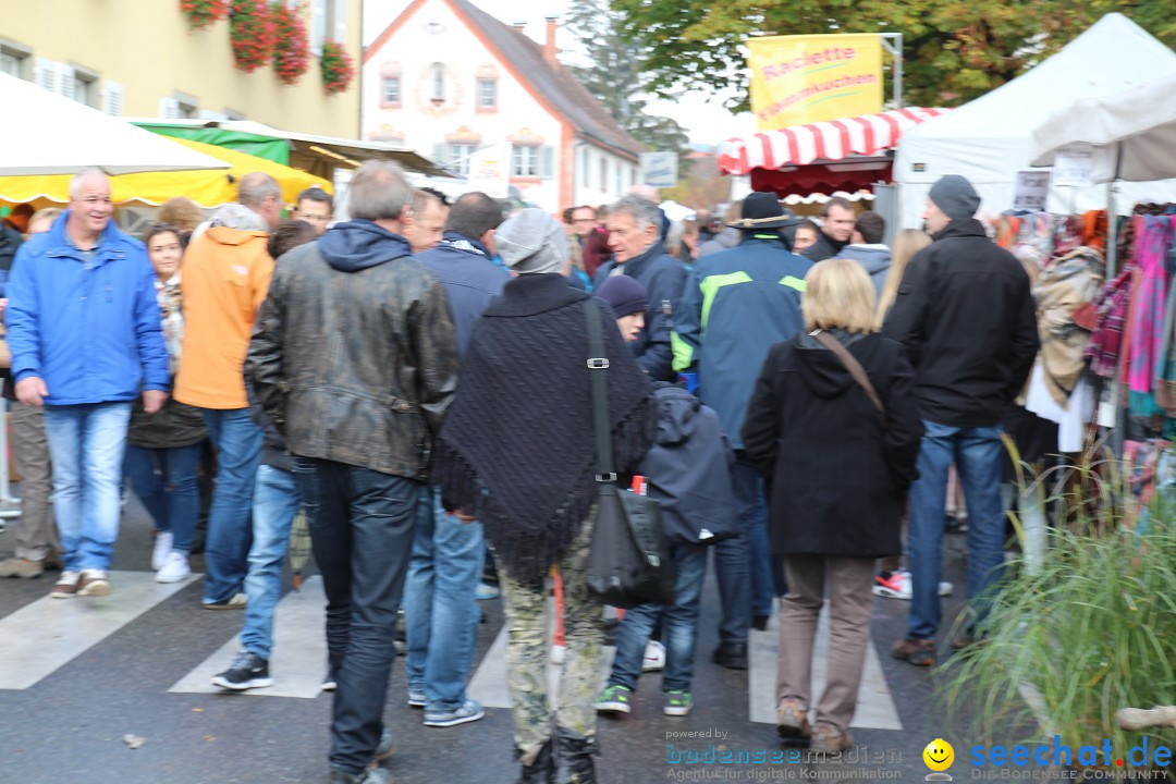 Kirchweih- und Erntedankfest: Hilzingen am Bodensee, 18.10.2015