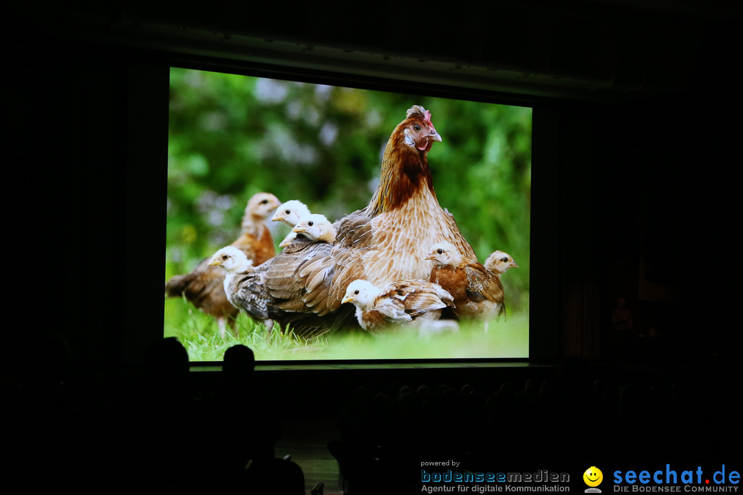 WunderWelten - Das Festival am Bodensee: Friedrichshafen, 07.11.2015