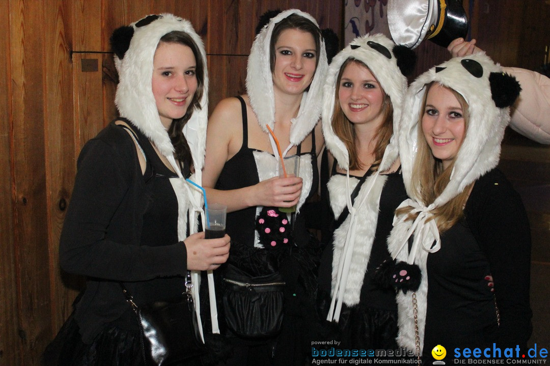 Maskenball - Diessenhofen TG - Schweiz, 10.01.2016