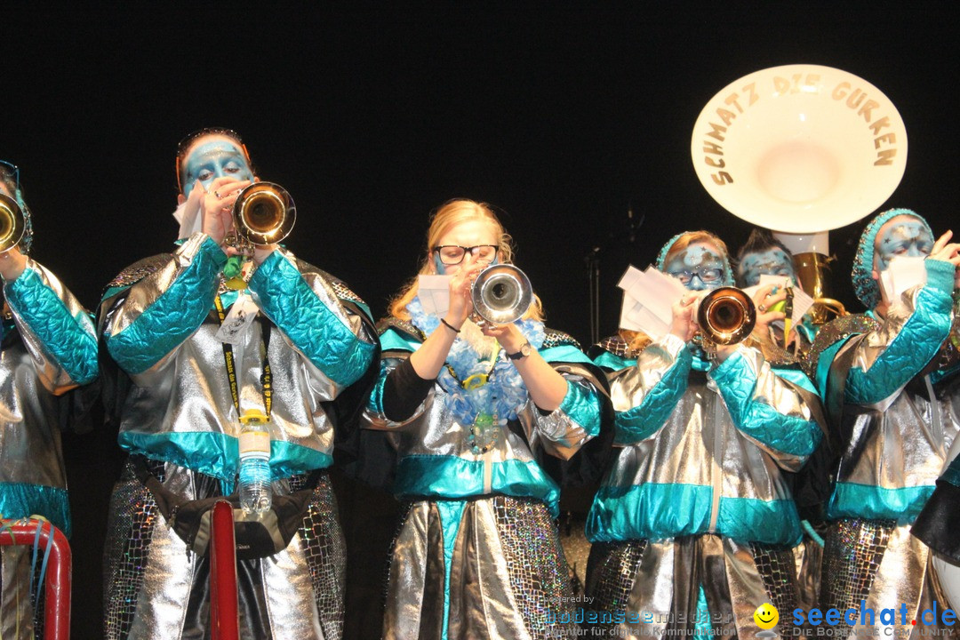 Maskenball - Diessenhofen TG - Schweiz, 10.01.2016