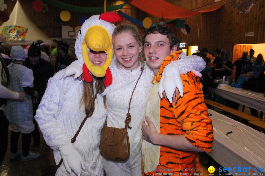 Maskenball - Diessenhofen TG - Schweiz, 10.01.2016