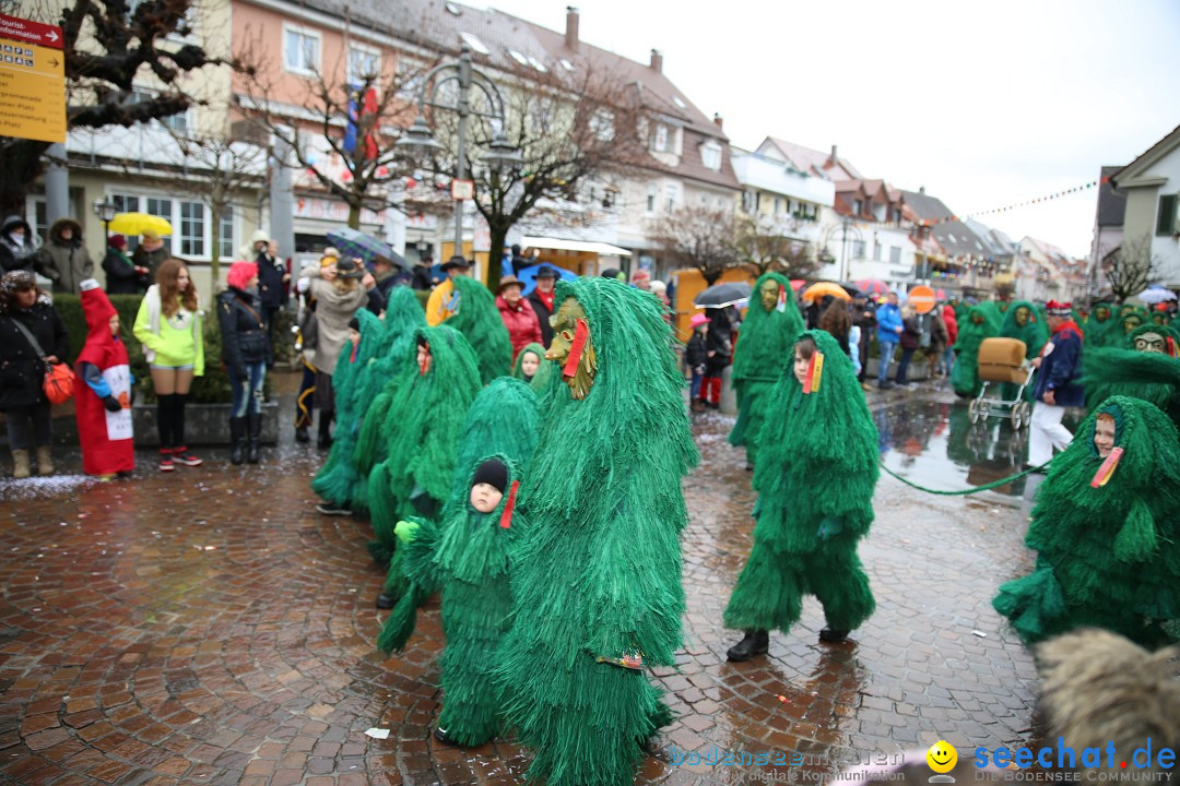 Fasnetsumzug - Fasching: Langenargen am Bodensee, 10.01.2016