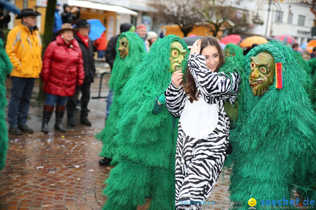 Fasnetsumzug - Fasching: Langenargen am Bodensee, 10.01.2016